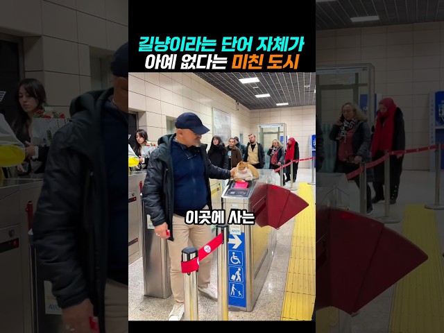 길냥이라는 단어 자체가 없다는 도시의 정체