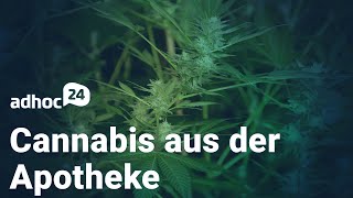 Cannabis aus der Apotheke / Streikende Apotheken / Ermittlungen gegen BMG-Beamten