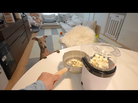 ポップコーンから目が離せない愛犬が可愛過ぎたwww