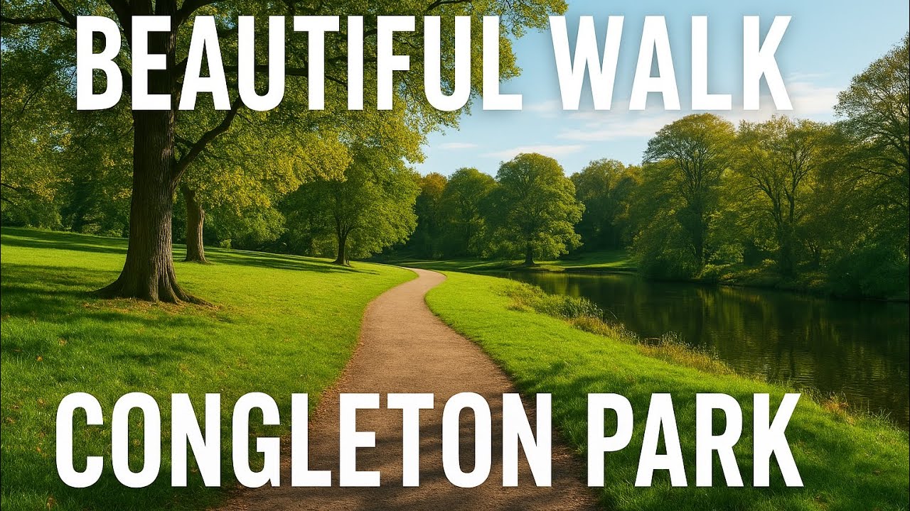 🚶‍♂️ «Спокойная и тихая воскресная утренняя прогулка в парке Конглтон 4K»
