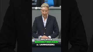 🚩🚨Antifa in Deutschland #linksextrmismus #extremismus #aliceweidel #afd #antifa