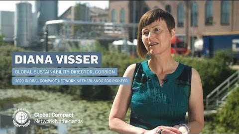 2020 UN Global Compact Network Netherlands SDG Pioneer
