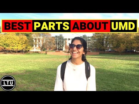 the-best-parts-about-umd---university-of-maryland---campus-interviews-(2019)-ltu