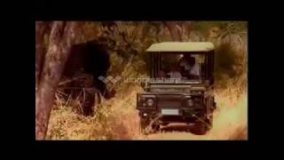 DFlex Mama  Africa Video  Dflexmusic