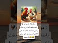 😂 ديك يتفلسف… والدجاجة سكّتته بجملة قاتلة🐓😂#نكت#ضحك#كوميديا#shorts#ضحك_للنهاية