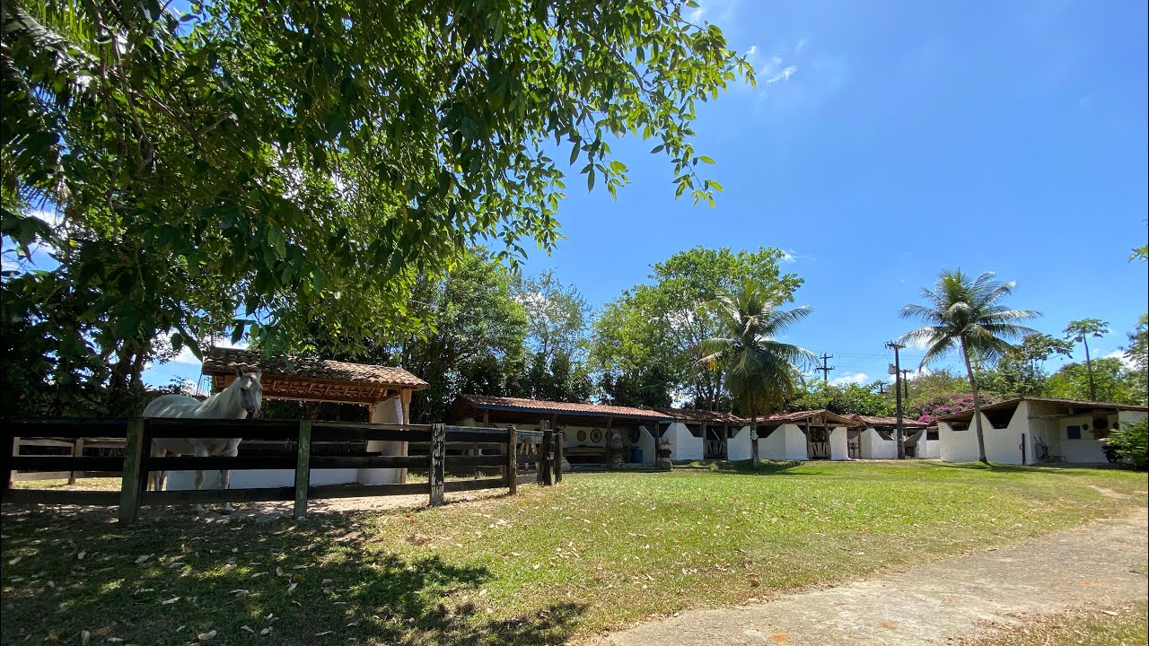 🍃Granja / Haras em Aldeia dos Camarás – PE | 10 Hectares, Reserva,  Nascentes, Riacho, fácil acesso.