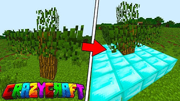 We Found A Duplicator Tree!! | Crazy Craft 3 0 #5 (Modded Minecraft)