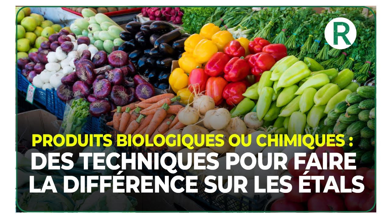 PRODUITS BIOLOGIQUES OU CHIMIQUES : DES TECHNIQUES POUR FAIRE LA DIFFÉRENCE SUR LES ÉTALS