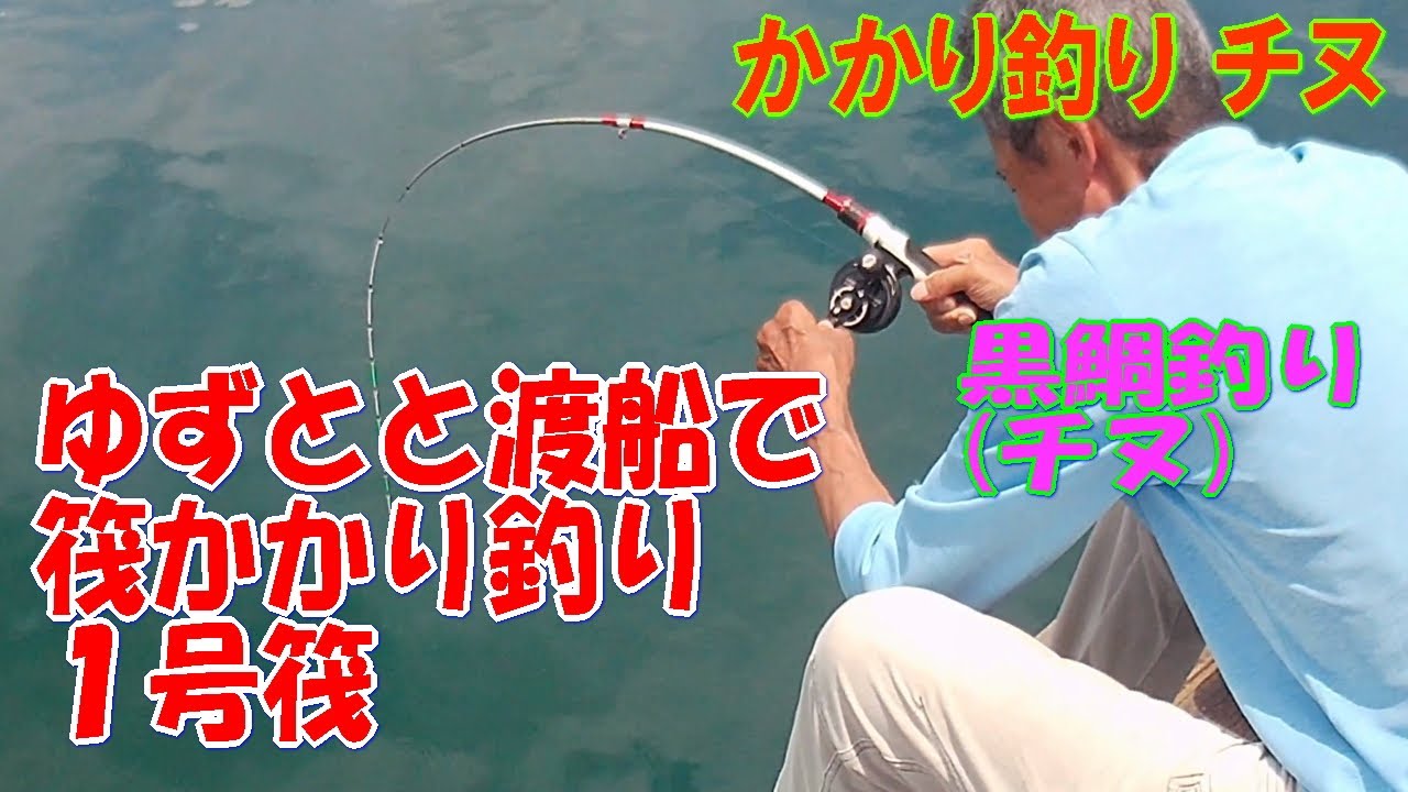 (チヌ 黒鯛釣り) ゆずとと渡船１号筏でかかり釣りにて黒鯛釣り。【チヌじぃー】