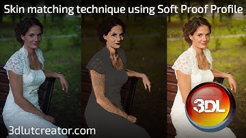 Skin color matching technique using Soft Proof Profile