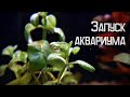 ТАЙМЕР, УДОБРЕНИЯ И ТЕСТЫ ДЛЯ АКВАРИУМА