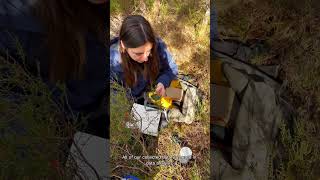 The Natural Expansion Zone - BSc Geography field trip to Glenmore