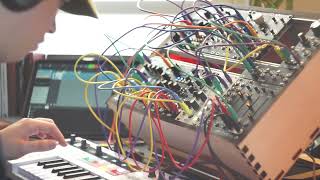 Famous Daisy Patch + Data Bender + Electus Versio // Patch Log 001 Wealth