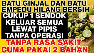 CUKUP 1 SENDOK, BATU EMPEDU \u0026 GINJAL JADI BUBUR! Keluar Lewat Pipis Tanpa Sakit Cuma Pakai Ini!
