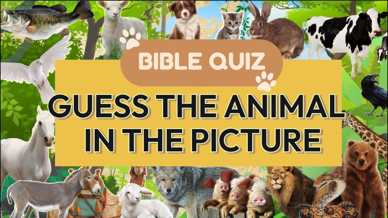 20 Bible Quiz Guessing Game Animal Edition for Kid's Ministry