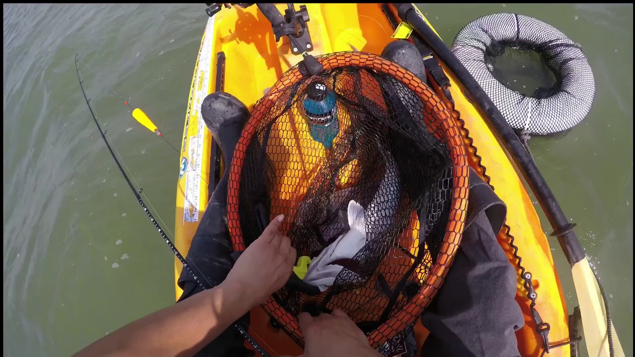 Kayak fishing Galveston Tx YouTube