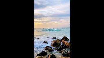 القارئ مشاري العفاسي🌿 سورة البقرة الآية 216🌿 وَعَسَى أَنْ تَكْرَهُوا شَيْئًا وَهُوَ خَيْرٌ لَكُمْ