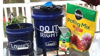 Lowes garden to go kit #1 planting