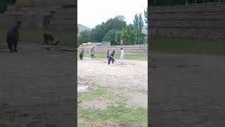 last bal KY hwa#cricket#usashorts#usacricket