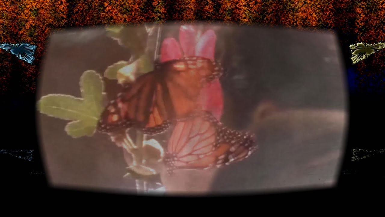 Acid Bath - Scream Of The Butterfly (Music Video)