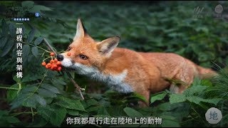 《春花媽的動物溝通課1：啟動動物旅程》課程介紹 