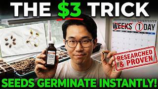 THIS $3 Trick Makes Seeds Germinate INSTANTLY!