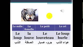 les animaux 2  الحيوانات في اللغة الفرنسية