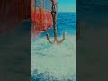 ship anchor ⚓🌊🚢#viralvideo #ship #trandingsong