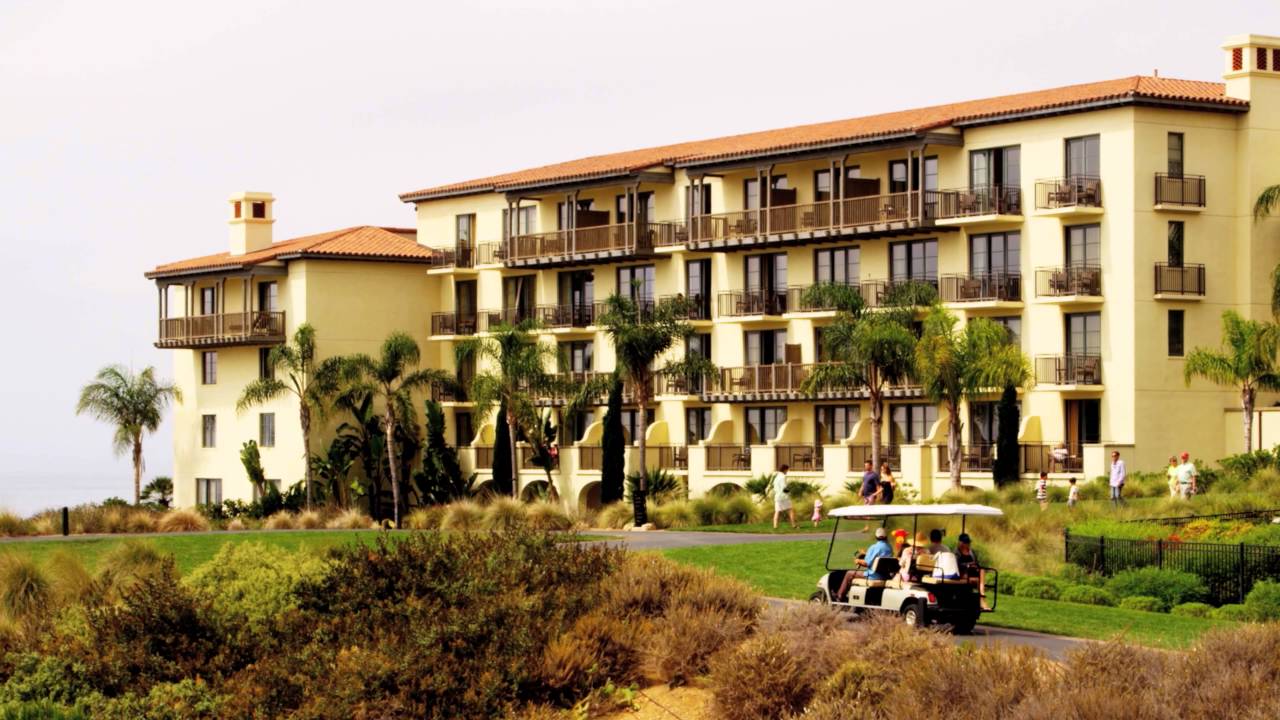 Newton Group Video Compilation