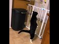 How he going to make it