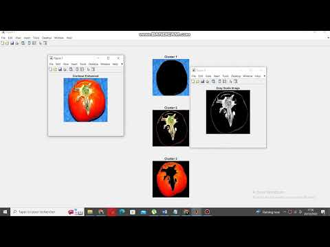 TOMATO DISEASE DETECTION USING MATLAB