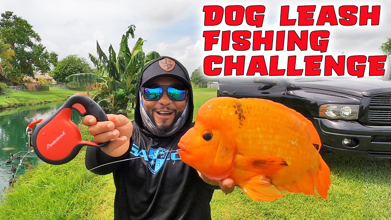 DOG LEASH FISHING CHALLENGE!!! YouTube