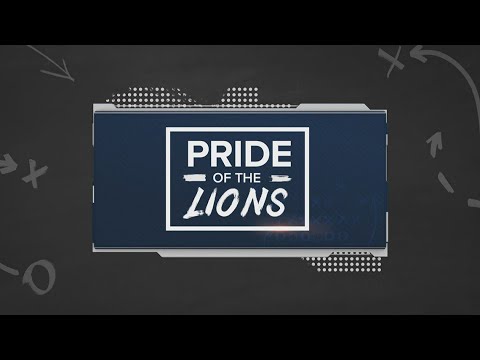 ვიდეო: რას ნიშნავს ნიტანი ლომები?