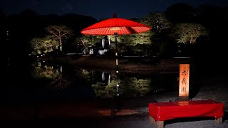 春夜の六義園