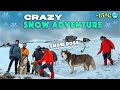 Crazy snow adventure with snow dogs    in search of winter wonderland