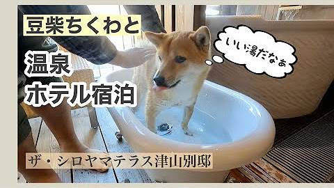 ちくわさんぽ Youtube