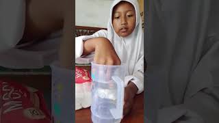 membuat eksperimen sains#sdnjombang03