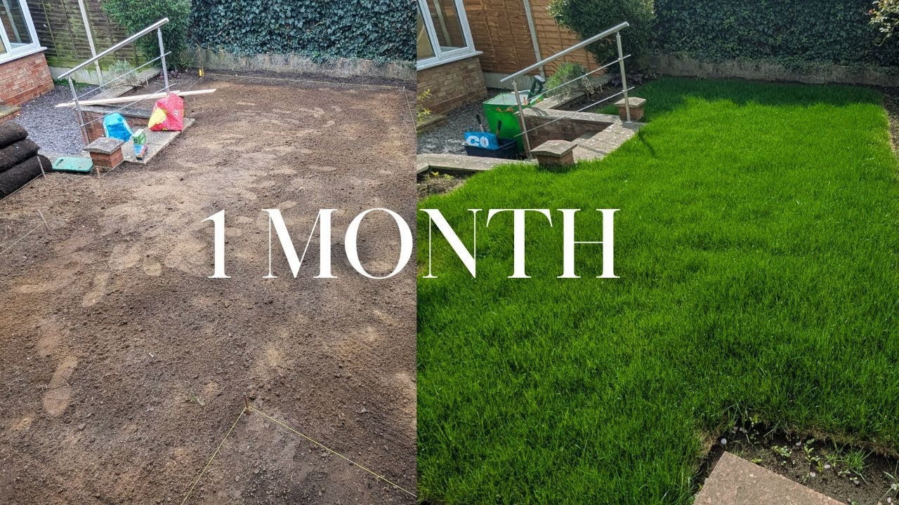 DIY Lawn Turf Installation That Anyone Can Do - YouTube