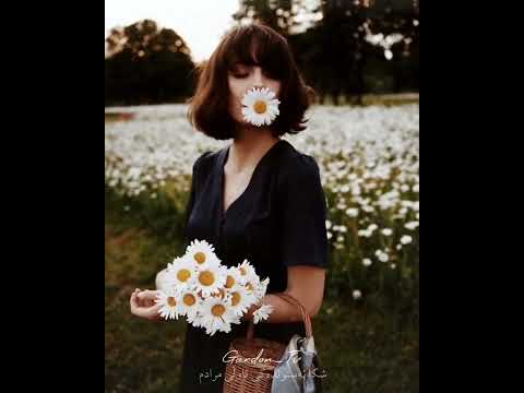 محمد ماملی ئه گه ر چی رویی قه ت ناچی له یادم حسن زیرک کوردستان 