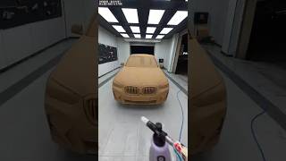 Washing BMW covered in mud