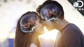 Can Science Prove You're In Love? Can Science Prove You're In Love?
