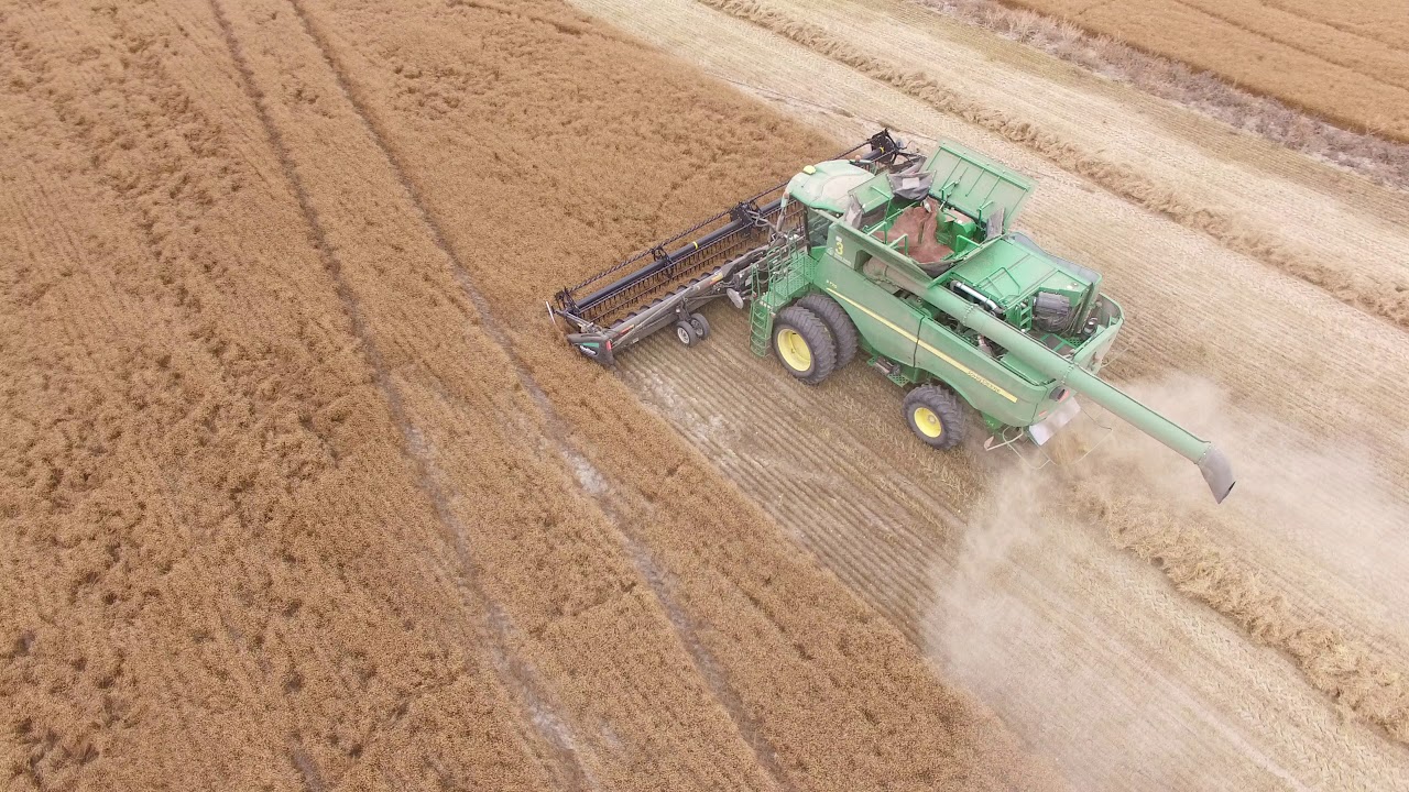 CDC Rowland Flax Seed 2020 Harvest YouTube