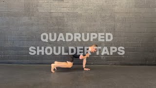 Quadruped Shoulder Taps