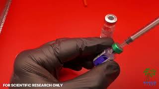 How To Reconstitute Ghk - Cu 100Mg Peptide With Bacteriostatic Water Research & Educational Guide