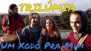 Eu Só Quero Um Xodó - TRILÚMIA (Dominguinhos) COVER
