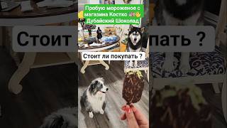 США Дегустация Дубайский шоколад Мороженое в Америке 🇺🇸 Обзор с собаками 😂 #shorts #usa #америка