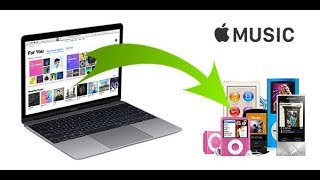 How to Sync Apple Music to iPod Nano/iPod Shuffle screenshot 5