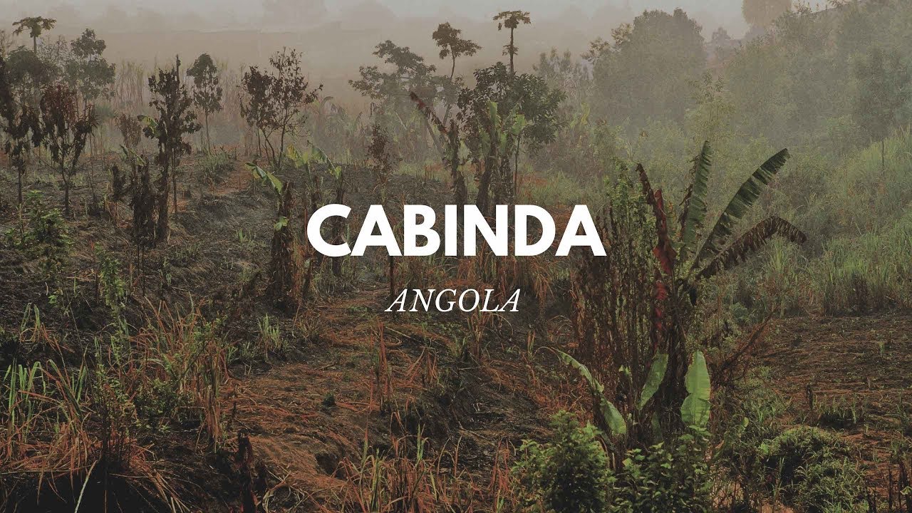 ANGOLA - VOYAGE À CABINDA