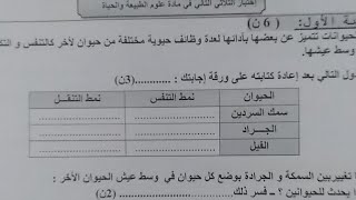 لايف لحل نموذج اختبار السنة 2 متوسط