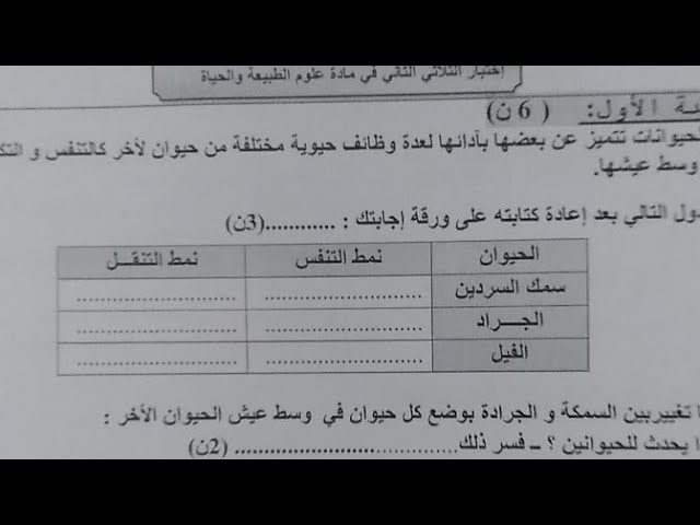 لايف لحل نموذج اختبار السنة 2 متوسط